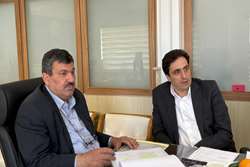 مدیرعامل شرکت توزیع نیروی برق استان تهران با فرماندار شهریار دیدار و گفت و گو کرد