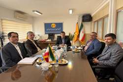 مدیر عامل شرکت توزیع نیروی برق استان تهران با فرماندار پاکدشت دیدار کرد