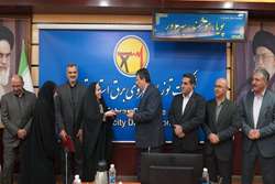 مدیر جدید روابط عمومی شرکت توزیع نیروی برق استان تهران منصوب شد