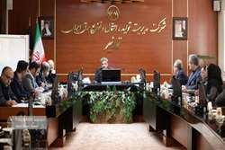 تاکید مدیرعامل توانیر بر رفع مشکلات شرکتهای تولیدکننده کنتورهای هوشمند 