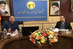 دبیر کمیته علمی ملی سیرد: فلسفه کنفرانس سیرد کمک به حل مشکلات صنعت توزیع برق است